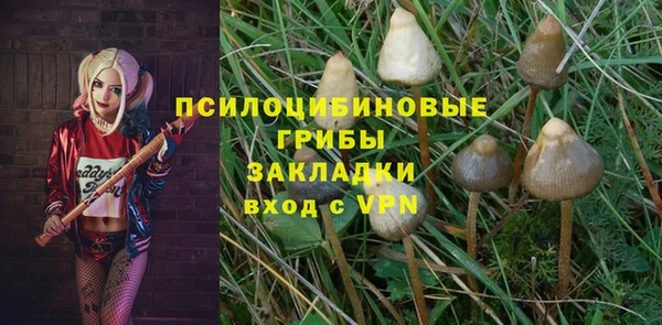 Альфа ПВП Алзамай