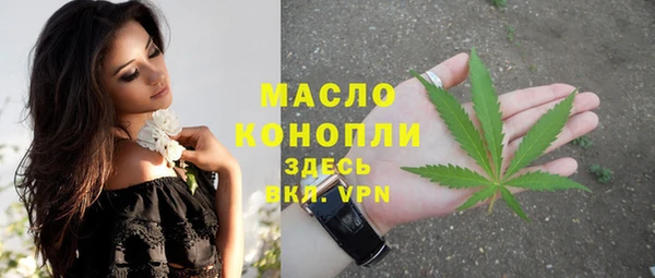 мет Алексин