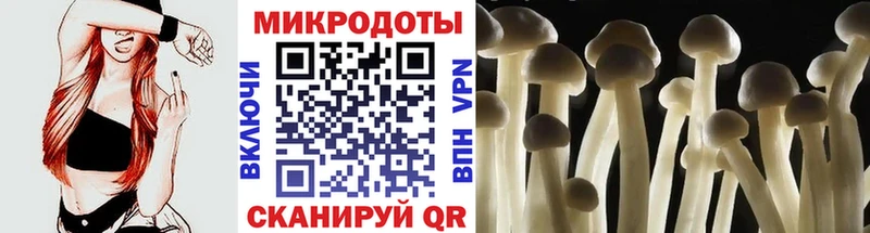 Галлюциногенные грибы прущие грибы  где купить наркоту  Азнакаево 